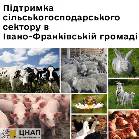 Підтримка сільськогосподарського сектору в Івано-Франківській громаді